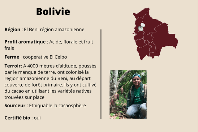 Tablette Bolivie