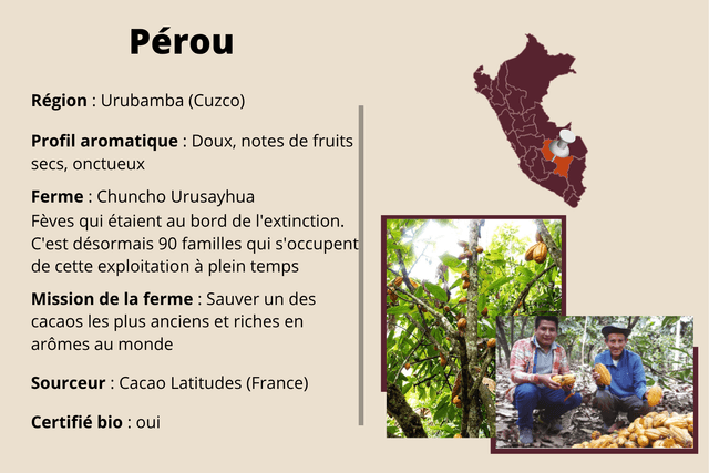 Tablette Pérou